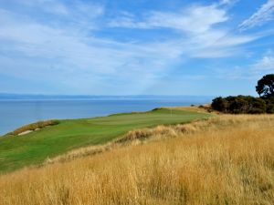 Cape Kidnappers 6th Fescue